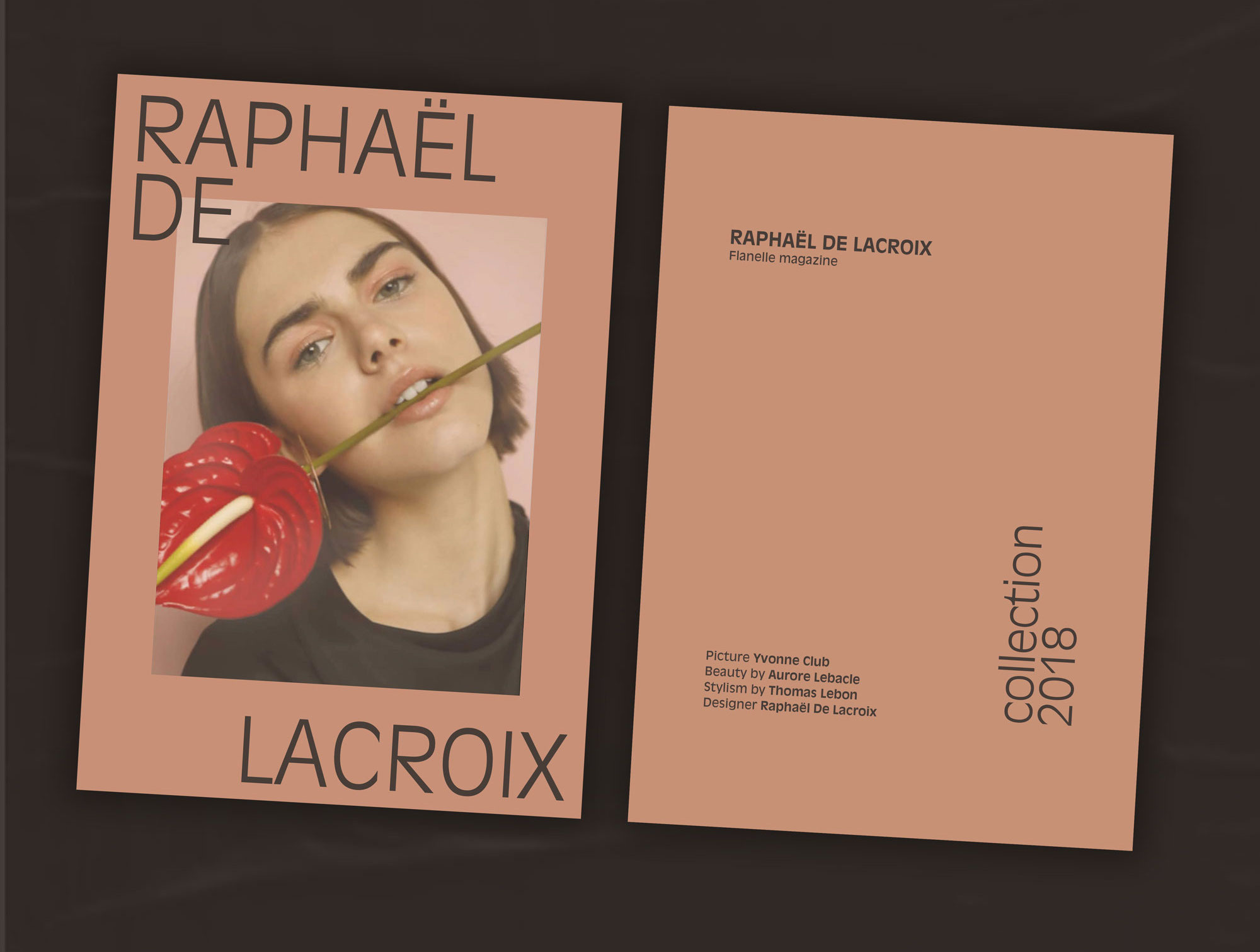raphael-delacroix-amelie-leclerc-flyers-copie-4