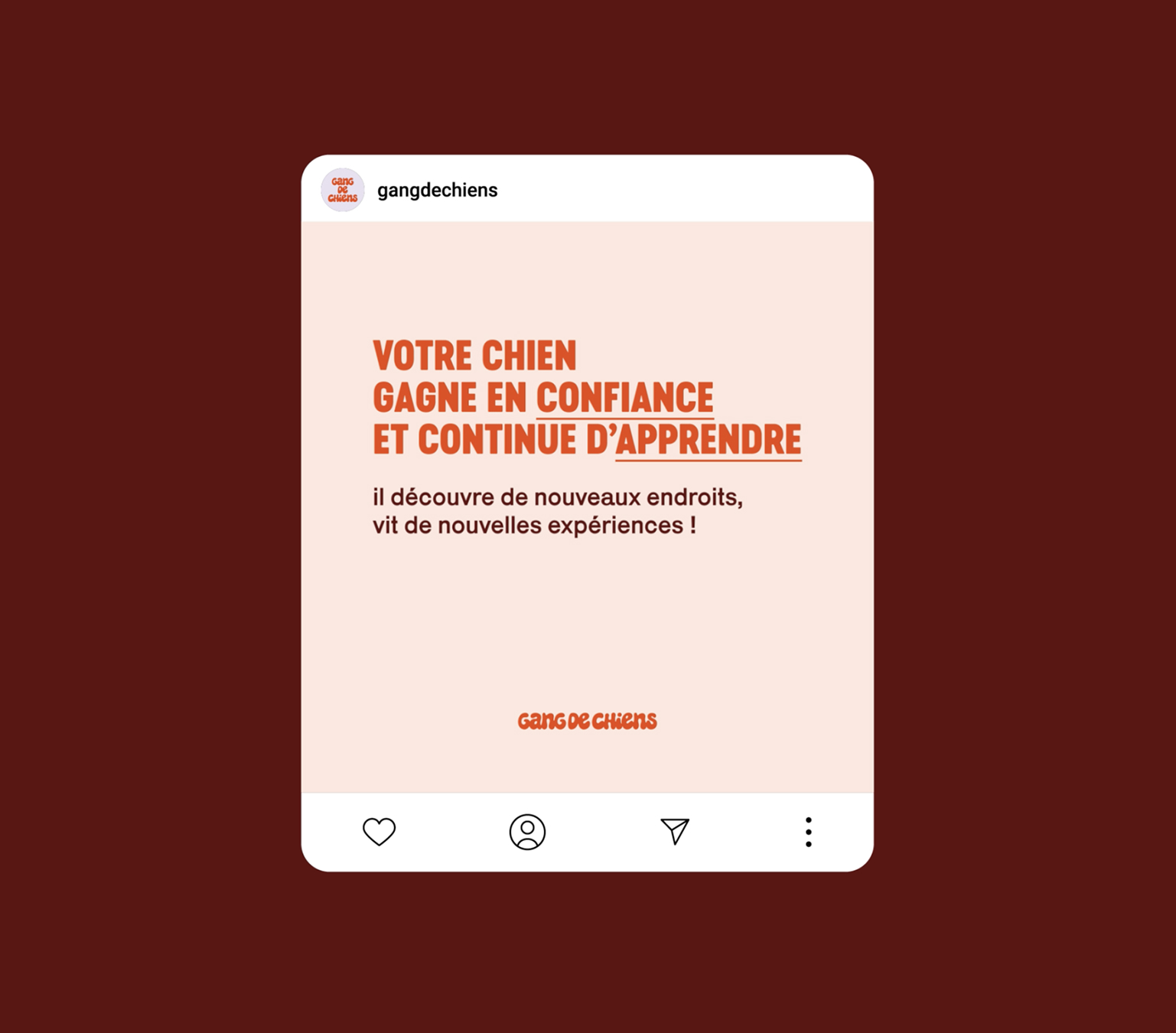 GANG_DE_CHIENS_AMELIE_LECLERC-1 copie