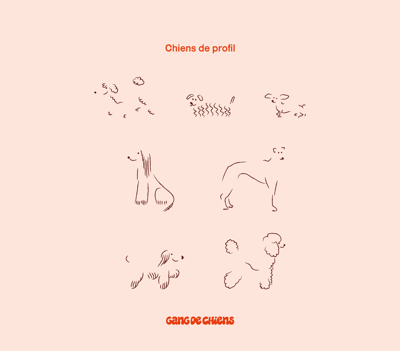 GANG_DE_CHIENS_AMELIE_LECLERC-4